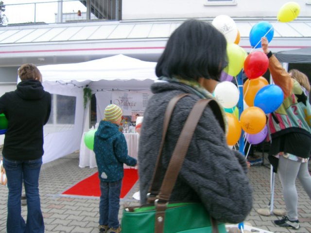 gewerbeschau2013_232